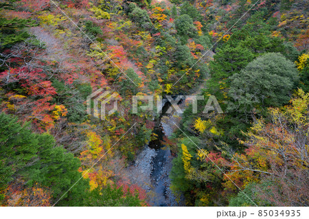 静岡県榛原郡川根本町 紅葉の寸又峡 静岡県榛原郡川根本町 紅葉の寸又峡 85034935