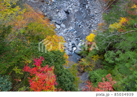静岡県榛原郡川根本町 紅葉の寸又峡 静岡県榛原郡川根本町 紅葉の寸又峡 85034939