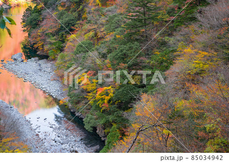 静岡県榛原郡川根本町　紅葉の寸又峡 85034942