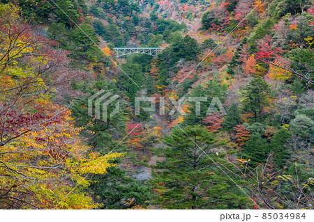 静岡県榛原郡川根本町　紅葉の寸又峡 85034984