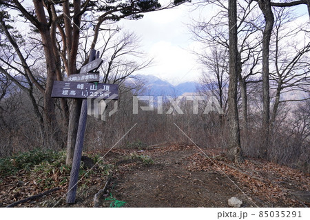 群馬県沼田市 河内神社から登る三峰山の山頂 正面に谷川岳が見える 群馬県沼田市 河内神社から登る三峰山の山頂 正面に谷川岳が見える 85035291