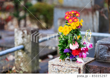 雨の墓に供えられた花 雨の墓に供えられた花 85035297