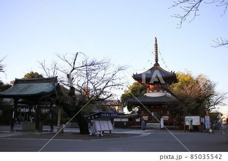 埼玉県の国指定重要文化財 川越大師喜多院 埼玉県の国指定重要文化財 川越大師喜多院 85035542