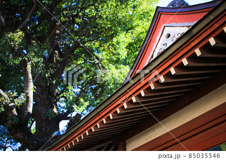 埼玉県川越市の観光名所　しあわせ稲荷 85035546