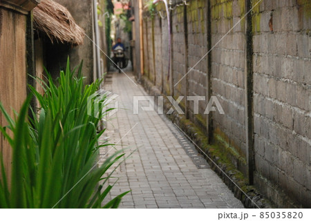 路地裏（ウブド／バリ島･インドネシア） 85035820
