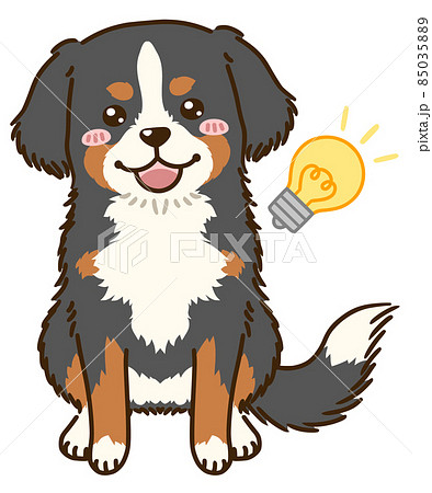 思い付くバーニーズマウンテンドッグのイラスト素材