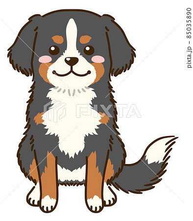 バーニーズマウンテンドッグ 85035890