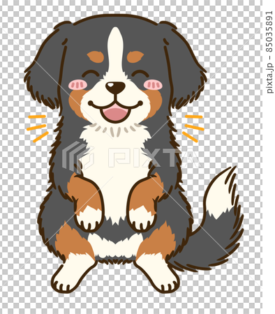 歡喜伯恩山犬 85035891