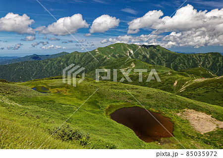 夏の朝日連峰稜線の池塘と狐穴小屋・以東岳の眺め 夏の朝日連峰稜線の池塘と狐穴小屋・以東岳の眺め 85035972