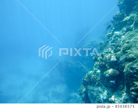 Underwater reef Underwater reef 85036573