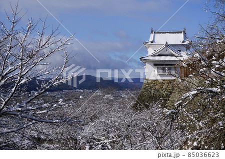 岡山県津山市にあるさくら名所100選のひとつ「鶴山公園（津山城趾）」：雪景色の中の備中櫓 85036623
