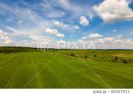 Aerial landscape view of green cultivated agricultural fields with growing crops on bright summer day. Aerial landscape view of green cultivated agricultural fields with growing crops on bright summer day. 85037031