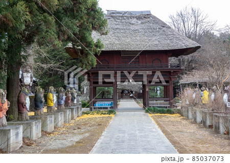 茂林寺の山門 群馬県館林市 茂林寺の山門 群馬県館林市 85037073