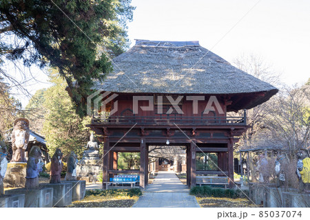 茂林寺の山門 群馬県館林市 茂林寺の山門 群馬県館林市 85037074