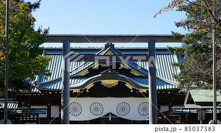 中門鳥居　秋晴れの靖国神社（東京都千代田区） 85037383
