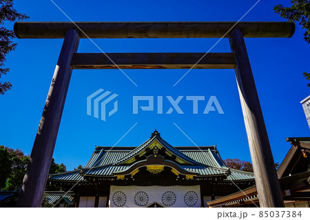 中門鳥居　秋晴れの靖国神社（東京都千代田区） 85037384