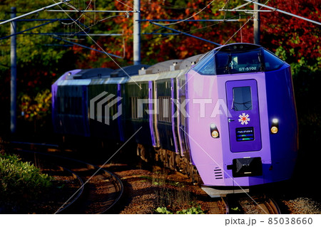 フラノラベンダーエクスプレス 85038660