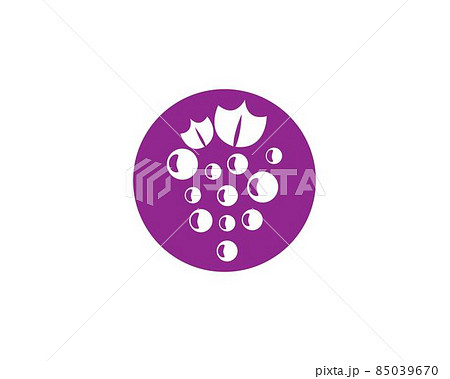 Grape vector icon Grape vector icon 85039670