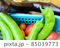 新鮮な夏野菜 85039773