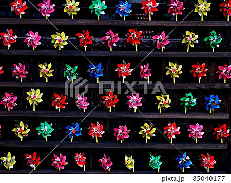 越前大野 武家屋敷 旧田村家 越前大野 武家屋敷 旧田村家 85040177