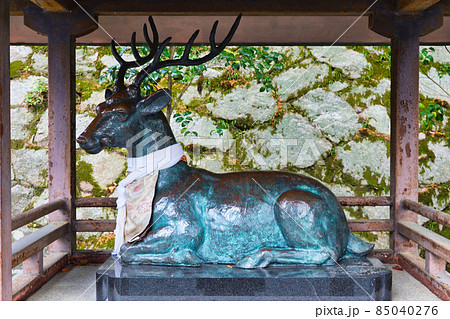 吉田神社の鹿の像（京都市左京区）の写真素材 [85040276] - PIXTA