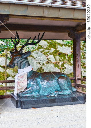 吉田神社の鹿の像（京都市左京区）の写真素材 [85040280] - PIXTA