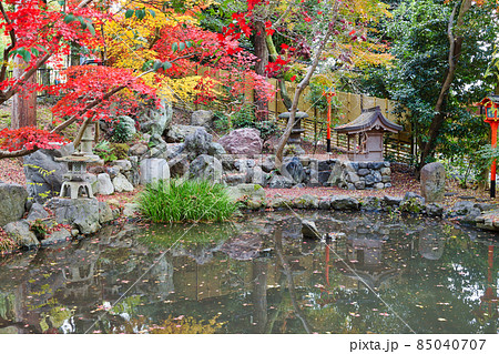 吉田神社の美しい紅葉と池（京都市左京区） 85040707