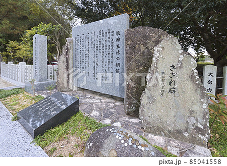 伊奘諾神宮(いざなぎじんぐう)さざれ石(兵庫県淡路市多賀) 伊奘諾神宮(いざなぎじんぐう)さざれ石(兵庫県淡路市多賀) 85041558
