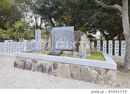 伊奘諾神宮(いざなぎじんぐう)さざれ石(兵庫県淡路市多賀) 伊奘諾神宮(いざなぎじんぐう)さざれ石(兵庫県淡路市多賀) 85041559