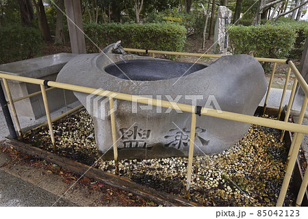 伊奘諾神宮（いざなぎじんぐう）手水舎（兵庫県淡路市多賀） 85042123