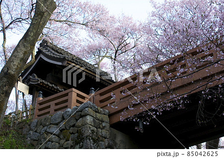高遠城城門と桜 高遠城城門と桜 85042625
