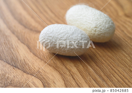 Image photo 85042685