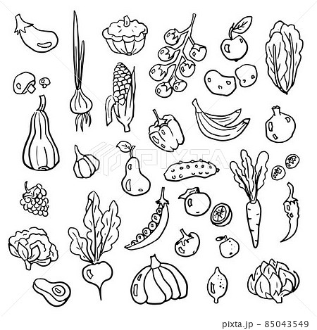 Fruits and vegetables hand drawn doodle collection. Fruits and vegetables hand drawn doodle collection. 85043549