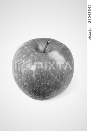 りんごの白黒写真 鉛筆デッサン風 7の写真素材
