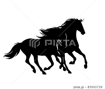 pair of running horses black and white vector silhouette pair of running horses black and white vector silhouette 85043739