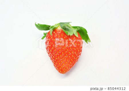 佐賀県産いちごさん 85044312