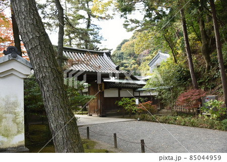 冬の三渓園 冬の三渓園 85044959