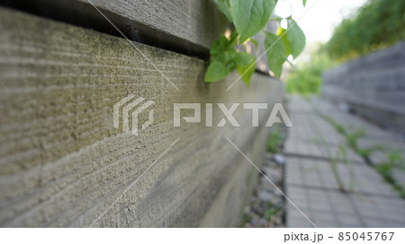 Paving stones between the beds in the garden, a path in the garden. 85045767