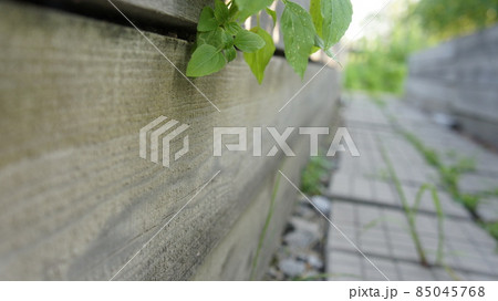 The path between the beds, paving stones in the garden 85045768