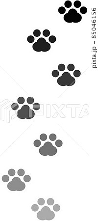 動物が歩いた肉球の足跡 動物が歩いた肉球の足跡 85046156