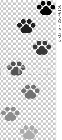 動物が歩いた肉球の足跡 動物が歩いた肉球の足跡 85046156