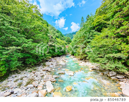 柿其渓谷(夏) 柿其渓谷(夏) 85046789