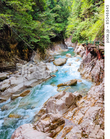 柿其渓谷(夏) 柿其渓谷(夏) 85046845