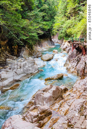 柿其渓谷(夏) 柿其渓谷(夏) 85046846