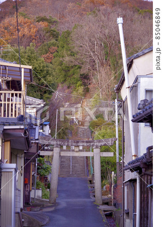熊野神社鳥居(つくば市北条) 熊野神社鳥居(つくば市北条) 85046849
