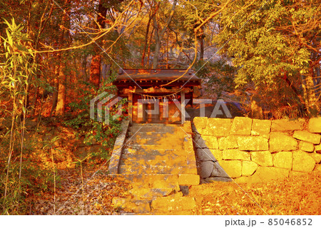熊野神社（つくば市北条） 85046852