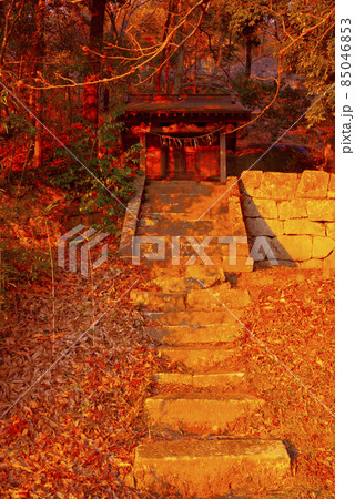 熊野神社（つくば市北条） 85046853
