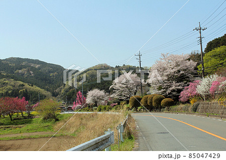 春の毛呂山 埼玉県 春の毛呂山 埼玉県 85047429