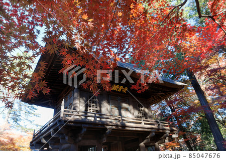 平林寺、真っ赤に色づいたモミジ越しに見える山門 平林寺、真っ赤に色づいたモミジ越しに見える山門 85047676