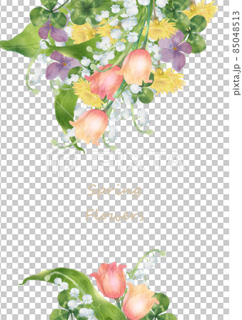 春の草花のデコレーション　水彩画 85048513